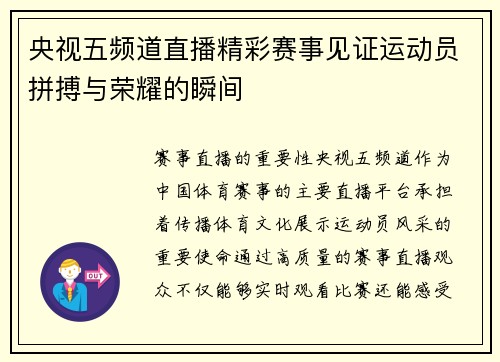 央视五频道直播精彩赛事见证运动员拼搏与荣耀的瞬间