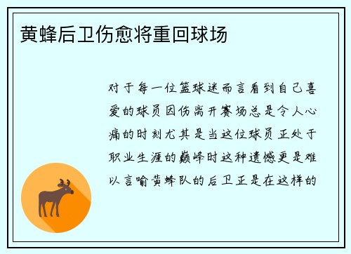 黄蜂后卫伤愈将重回球场